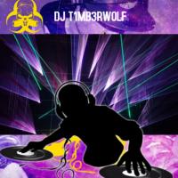 DJ T1MB3RWOLF