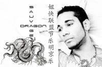 sauvagedragon