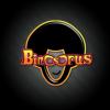 Binosorus