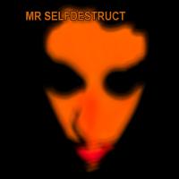 MrSelfdestruct