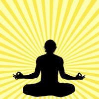 zenattraction