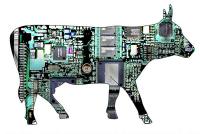 AmbroiseCow