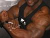 Romeo_Gigo1o