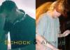 Schock and Animus