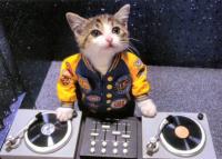 Dj Cop