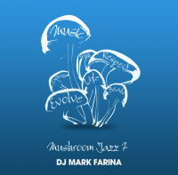Mark Farina